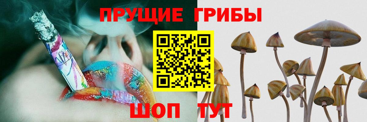 Псилоцибиновые грибы GOLDEN TEACHER  Вход с VPN  Псилоцибиновые грибы Cubensis  купить наркотики цена  Сорочинск 